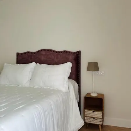 Nieves Centro بيت ضيافة *